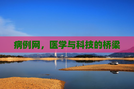 病例网，医学与科技的桥梁
