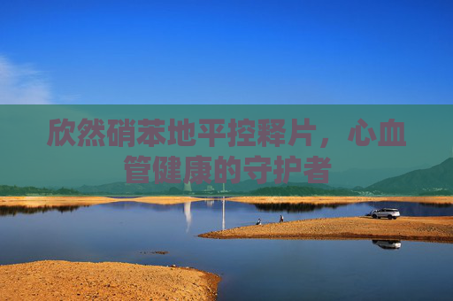 欣然硝苯地平控释片,心血管健康的守护者 欣然硝苯地平控释片,心血管健康的守护者