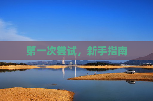 第一次尝试,新手指南 第一次尝试,新手指南