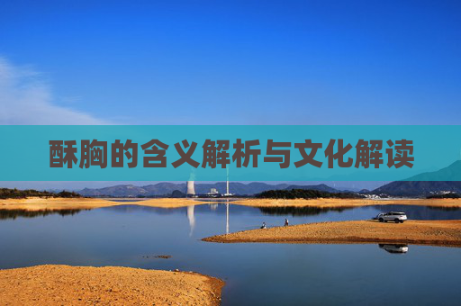 酥胸的含义解析与文化解读