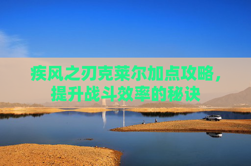 疾风之刃克莱尔加点攻略，提升战斗效率的秘诀