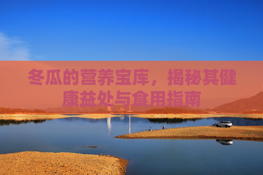 冬瓜的营养宝库，揭秘其健康益处与食用指南