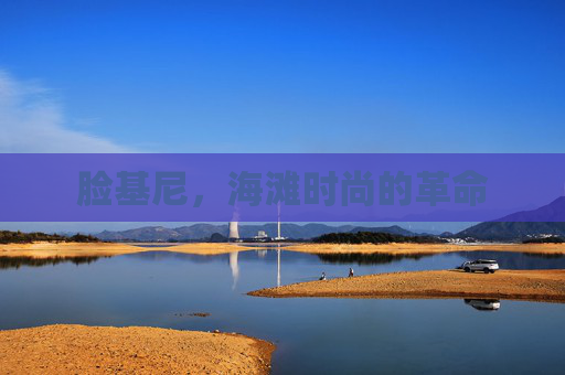 脸基尼,海滩时尚的革命 脸基尼,海滩时尚的革命