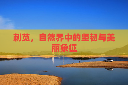 刺苋，自然界中的坚韧与美丽象征