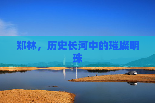 郑林,历史长河中的璀璨明珠 郑林,历史长河中的璀璨明珠