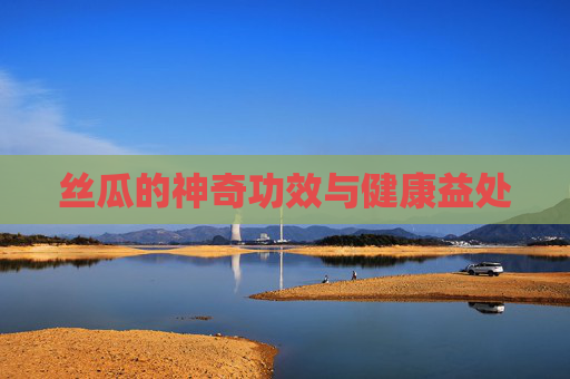 丝瓜的神奇功效与健康益处
