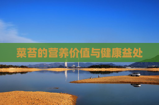 菜苔的营养价值与健康益处