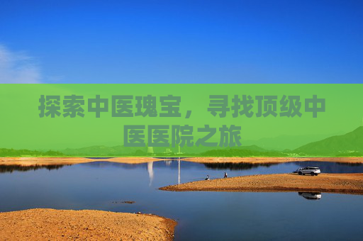 探索中医瑰宝，寻找顶级中医医院之旅