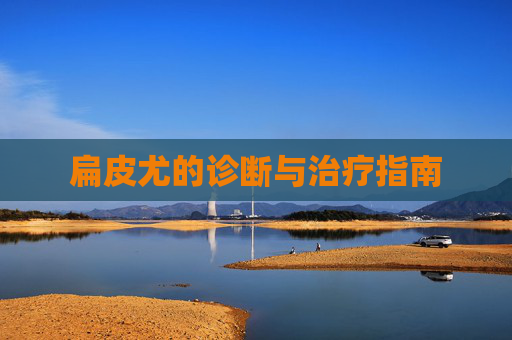 扁皮尤的诊断与治疗指南