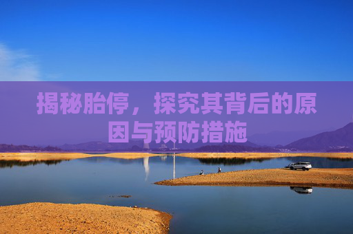 揭秘胎停，探究其背后的原因与预防措施