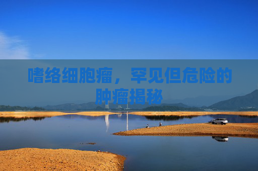 嗜络细胞瘤，罕见但危险的肿瘤揭秘