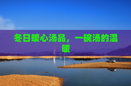 冬日暖心汤品，一碗汤的温暖