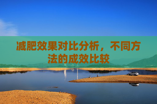 减肥效果对比分析,不同方法的成效比较 减肥效果对比分析,不同方法的成效比较