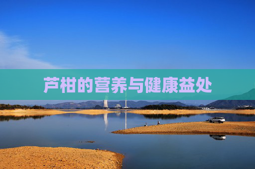 芦柑的营养与健康益处 芦柑的营养与健康益处