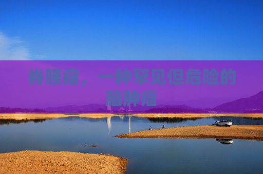 脊膜瘤，一种罕见但危险的脑肿瘤