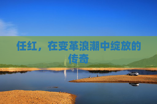任红，在变革浪潮中绽放的传奇