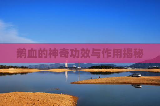 鹅血的神奇功效与作用揭秘 鹅血的神奇功效与作用揭秘