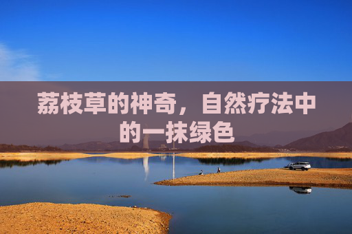 荔枝草的神奇,自然疗法中的一抹绿色 荔枝草的神奇,自然疗法中的一抹绿色