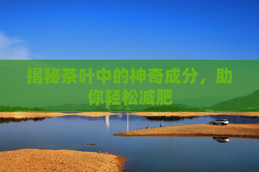 揭秘茶叶中的神奇成分，助你轻松减肥