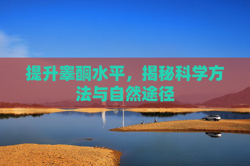 提升睾酮水平，揭秘科学方法与自然途径