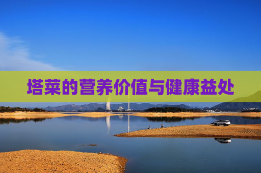 塔菜的营养价值与健康益处 塔菜的营养价值与健康益处