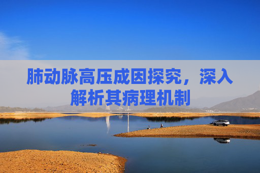 肺动脉高压成因探究，深入解析其病理机制