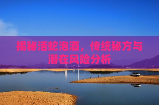 揭秘活蛇泡酒，传统秘方与潜在风险分析