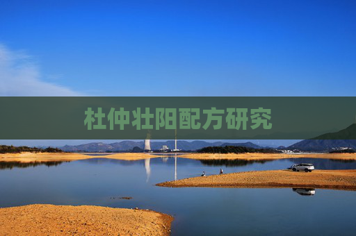 杜仲壮阳配方研究