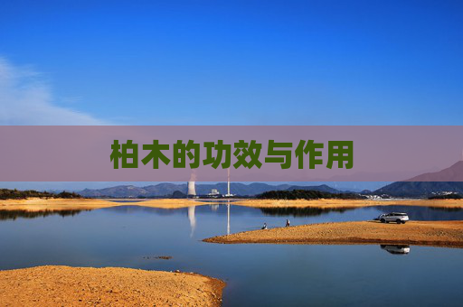 柏木的功效与作用
