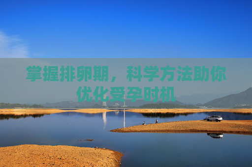 掌握排卵期,科学方法助你优化受孕时机 掌握排卵期,科学方法助你优化受孕时机