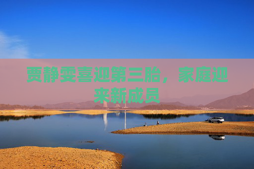 贾静雯喜迎第三胎，家庭迎来新成员