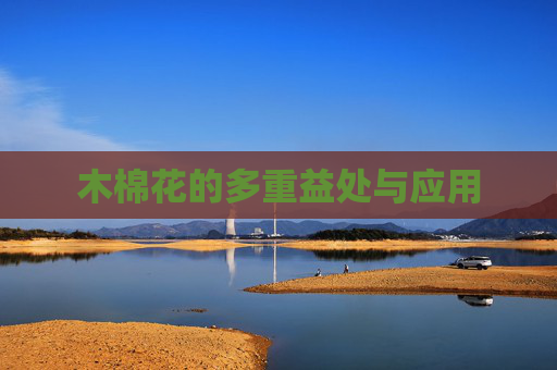木棉花的多重益处与应用