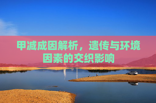 甲减成因解析，遗传与环境因素的交织影响