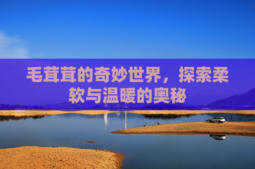 毛茸茸的奇妙世界，探索柔软与温暖的奥秘