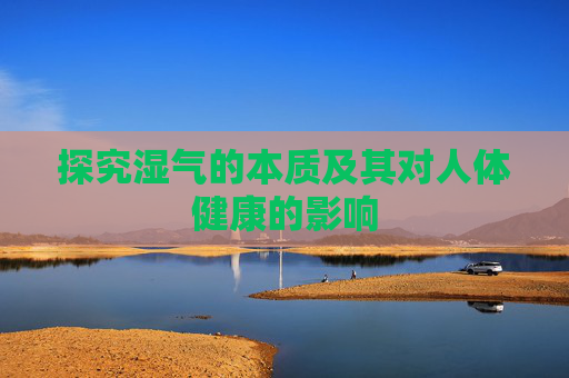 探究湿气的本质及其对人体健康的影响 探究湿气的本质及其对人体健康的影响