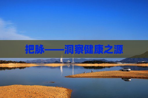 把脉——洞察健康之源 把脉——洞察健康之源