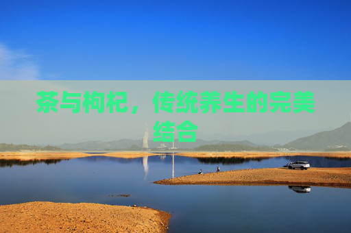 茶与枸杞，传统养生的完美结合