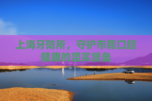 上海牙防所，守护市民口腔健康的坚实堡垒