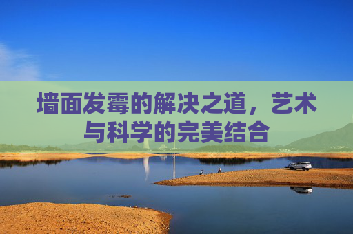 墙面发霉的解决之道,艺术与科学的完美结合 墙面发霉的解决之道,艺术与科学的完美结合