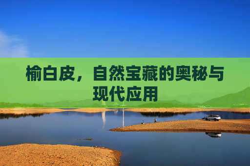 榆白皮,自然宝藏的奥秘与现代应用 榆白皮,自然宝藏的奥秘与现代应用