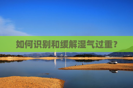 如何识别和缓解湿气过重？