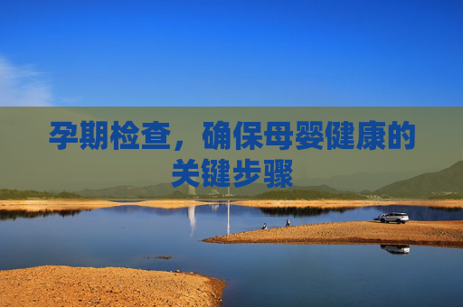 孕期检查,确保母婴健康的关键步骤 孕期检查,确保母婴健康的关键步骤