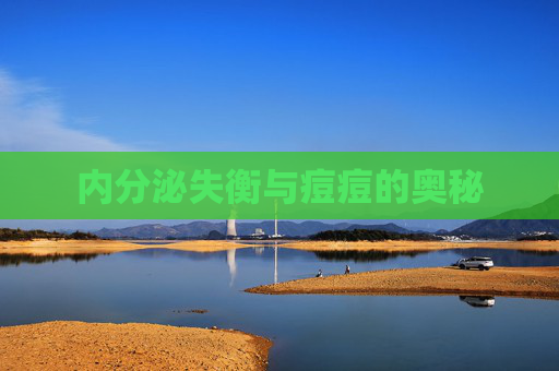 内分泌失衡与痘痘的奥秘 内分泌失衡与痘痘的奥秘
