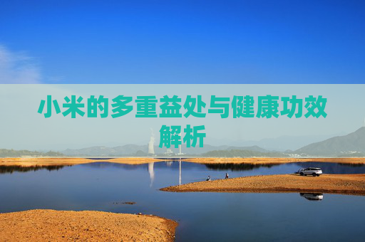 小米的多重益处与健康功效解析