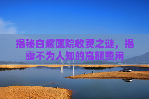 揭秘白癫医院收费之谜，揭露不为人知的高额费用