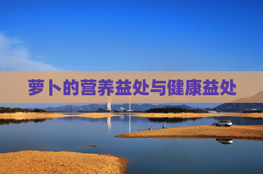 萝卜的营养益处与健康益处