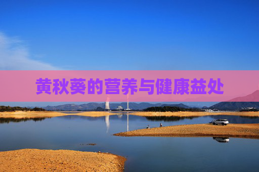 黄秋葵的营养与健康益处
