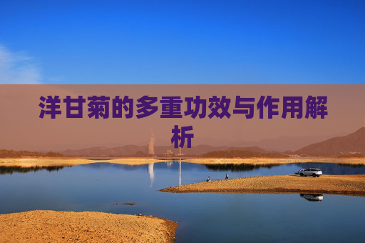 洋甘菊的多重功效与作用解析