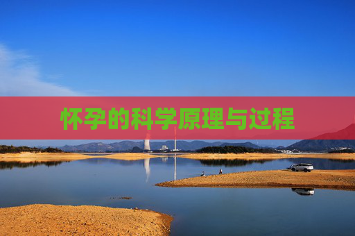 怀孕的科学原理与过程