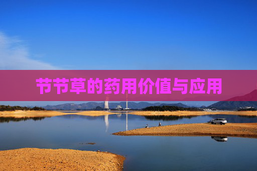 节节草的药用价值与应用